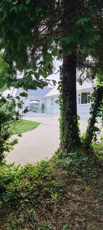 Annie's House With Thermal Health Moville